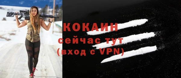 меф Няндома
