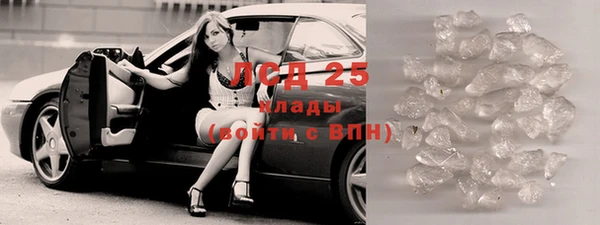ПСИЛОЦИБИНОВЫЕ ГРИБЫ Абаза