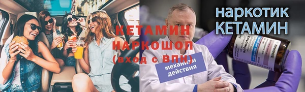ПСИЛОЦИБИНОВЫЕ ГРИБЫ Абаза