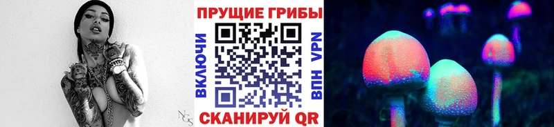 Галлюциногенные грибы GOLDEN TEACHER Воронеж