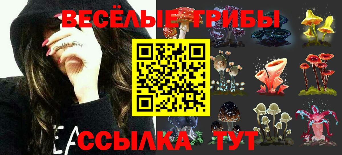 Псилоцибиновые грибы прущие грибы Воронеж