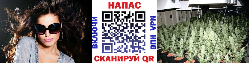 Бошки Шишки план Воронеж